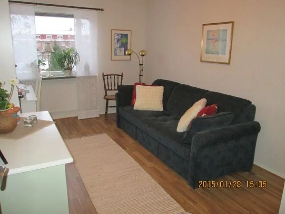 Sofa bed.