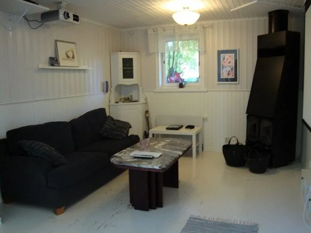 A room with a sofa and a fire place.