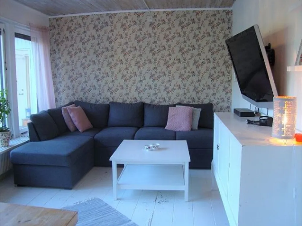 The living room with a sofa and a television.