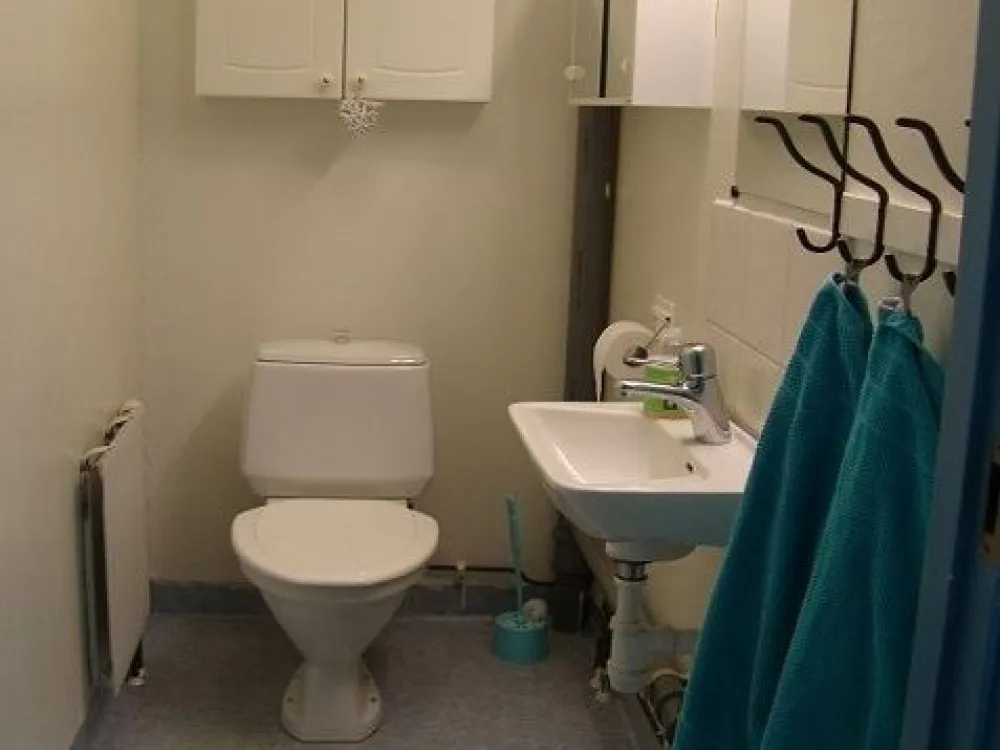 Toilet and a basin.
