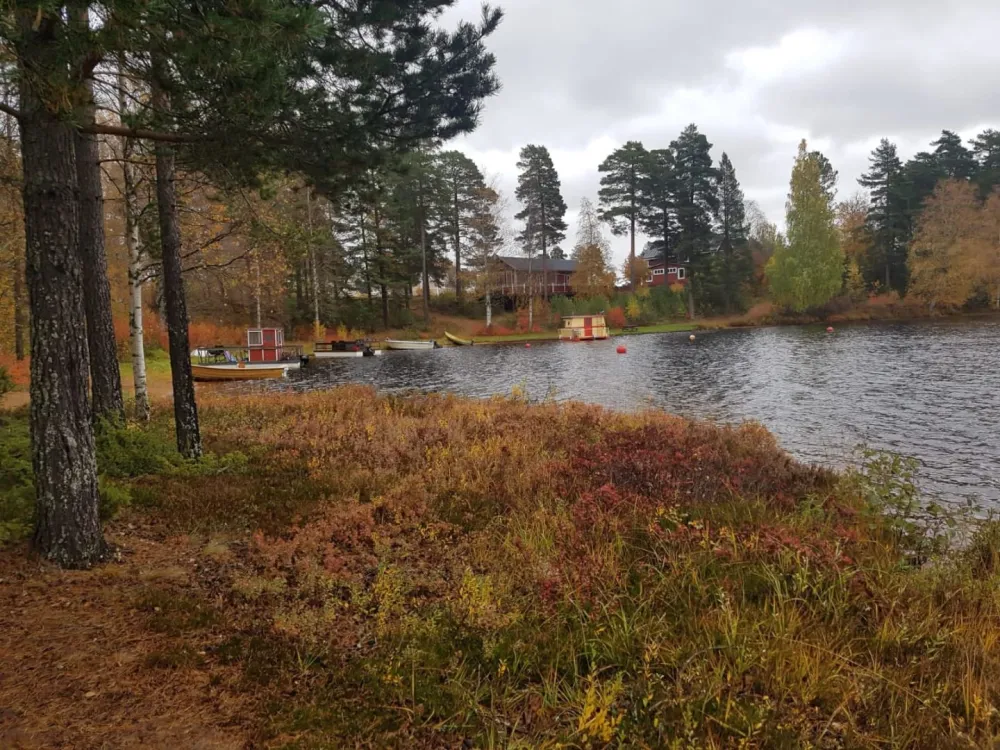 A lake during autumn.