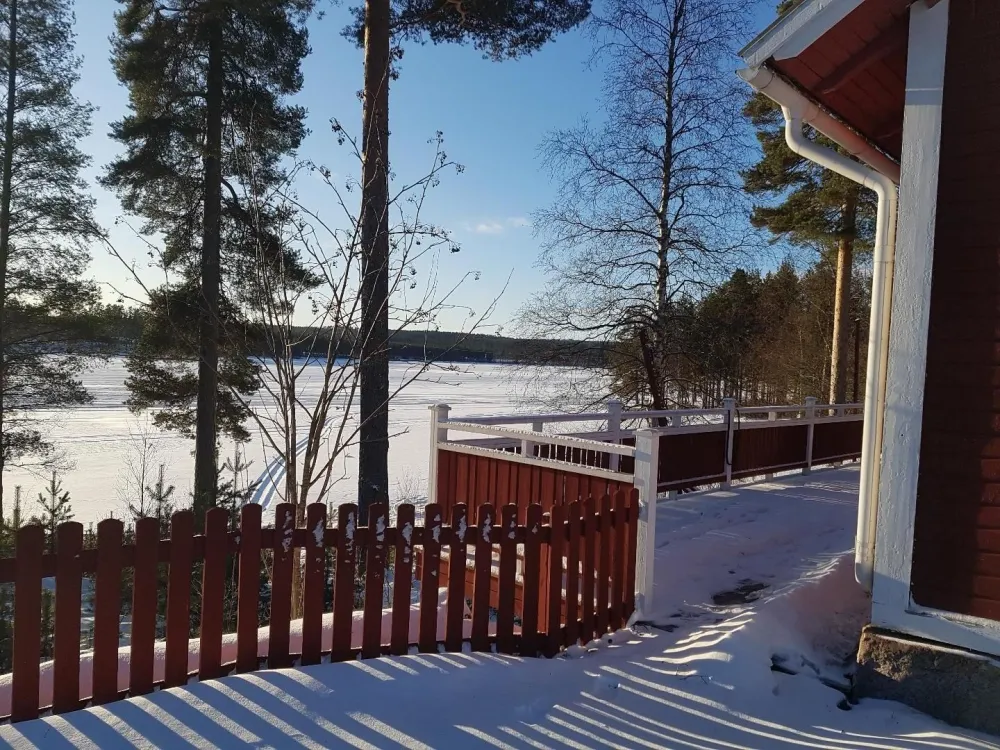 The garden by the hostel during winter.