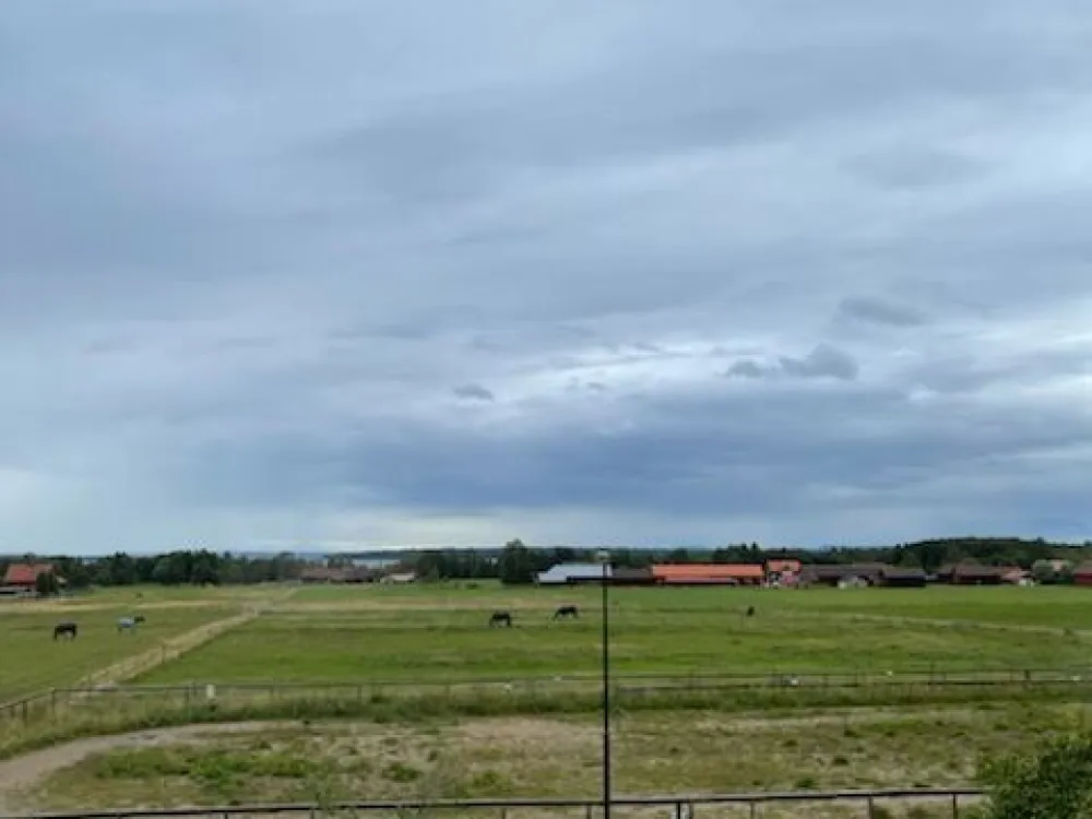 View over horse paddocks.